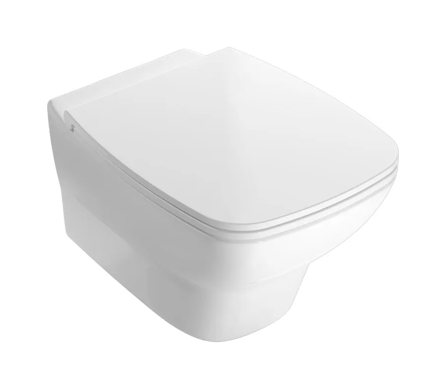 daily wall hung wc