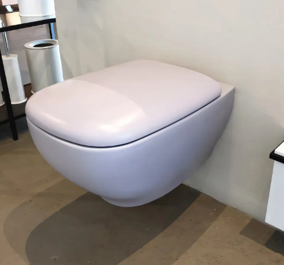 matt colour genesis wall hung wc with slow close seat